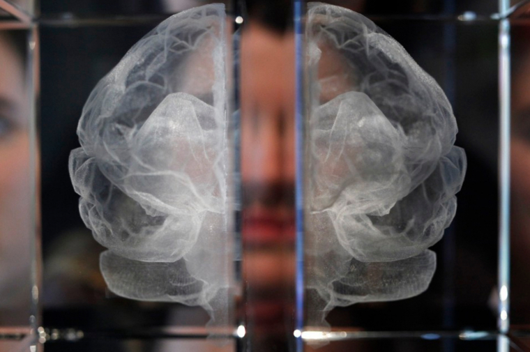 Poverty Brain Science Empath